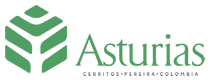 Asturias Pereira Logo